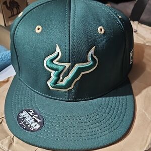 The Game Green Cap with Logo